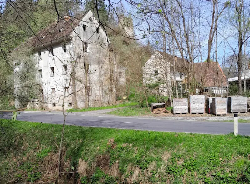 Burgruine Raabeck, Gutenberg an der Raabklamm, Austria, Austria